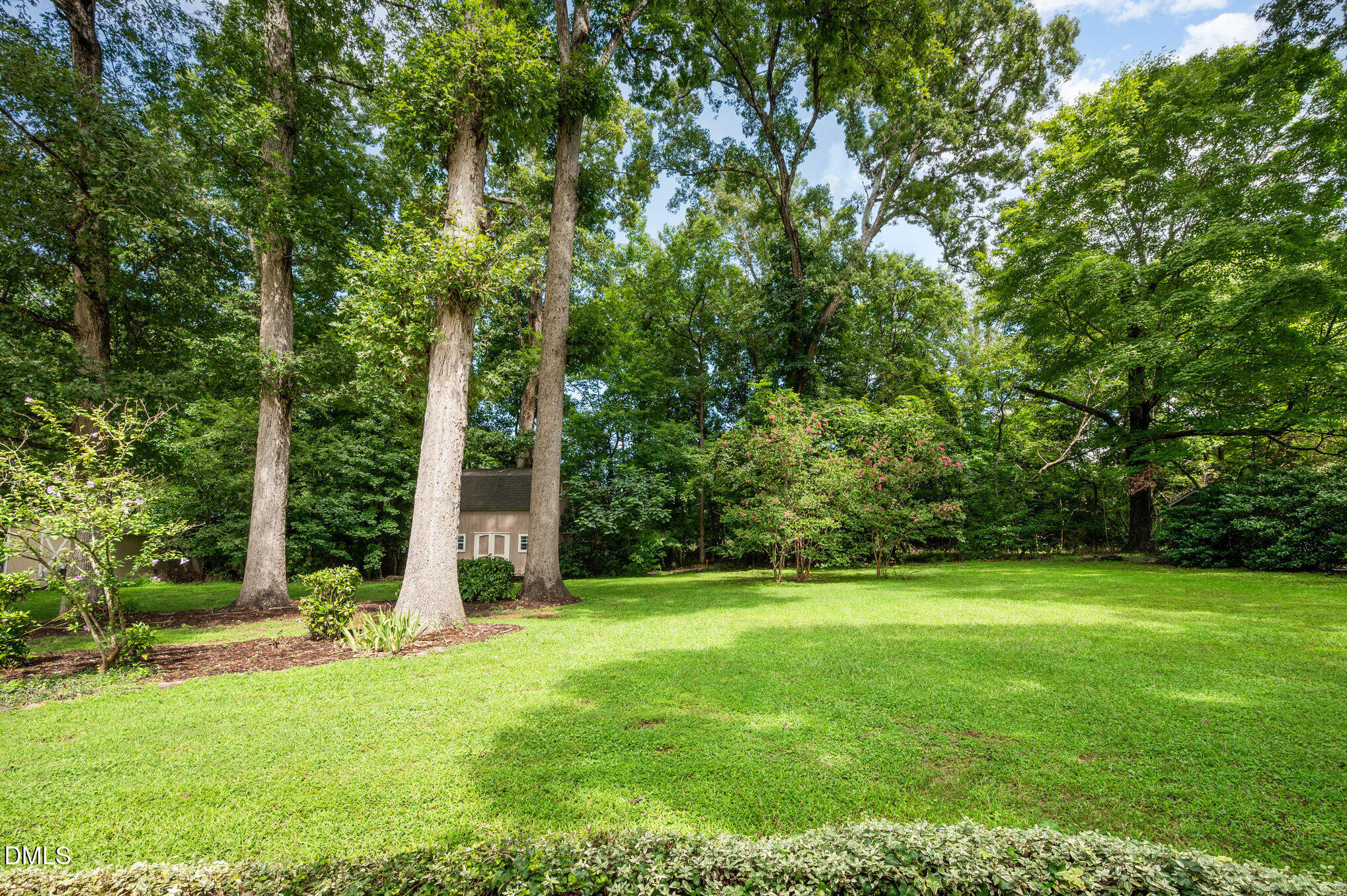 13018 Meadow Ridge Drive Rougemont, NC 27572 - Photo 24 of 26 a view of a tall trees with a big yard