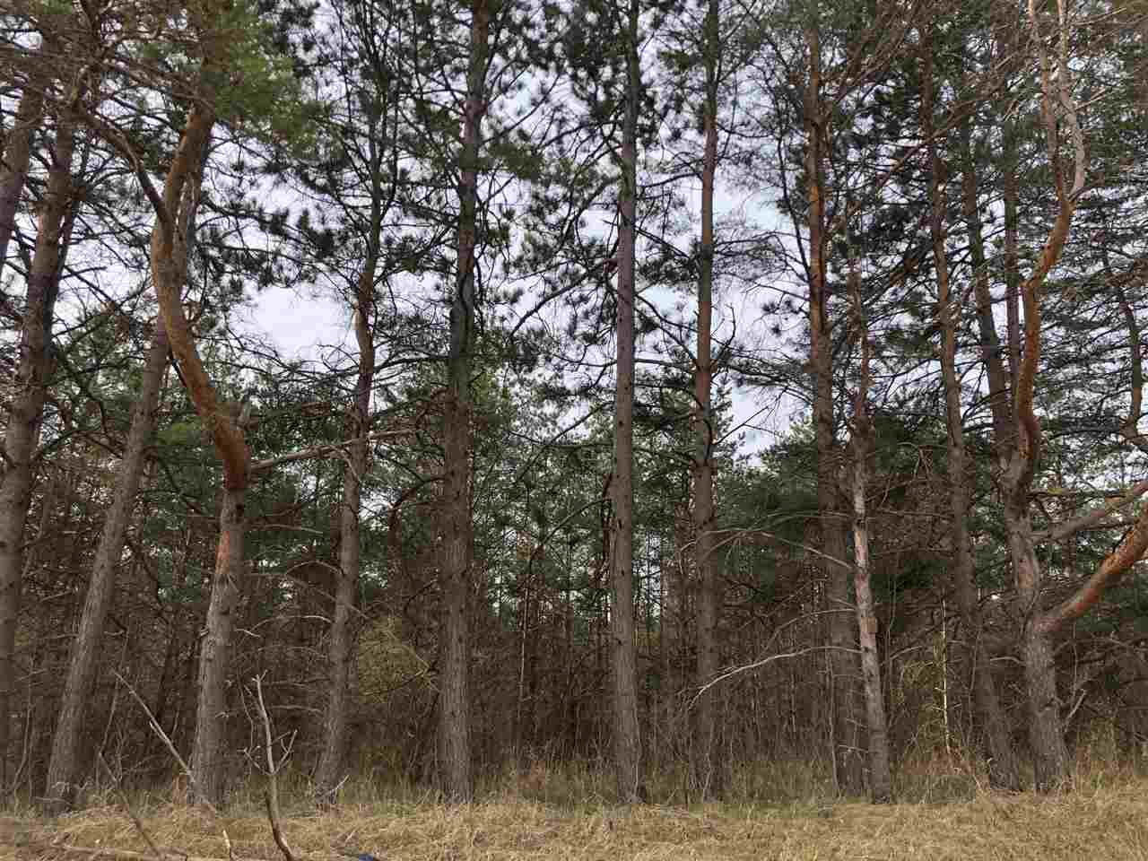 40-acres East Cranberry Lake Road Harrison, MI 48625 - Photo 2 of 21