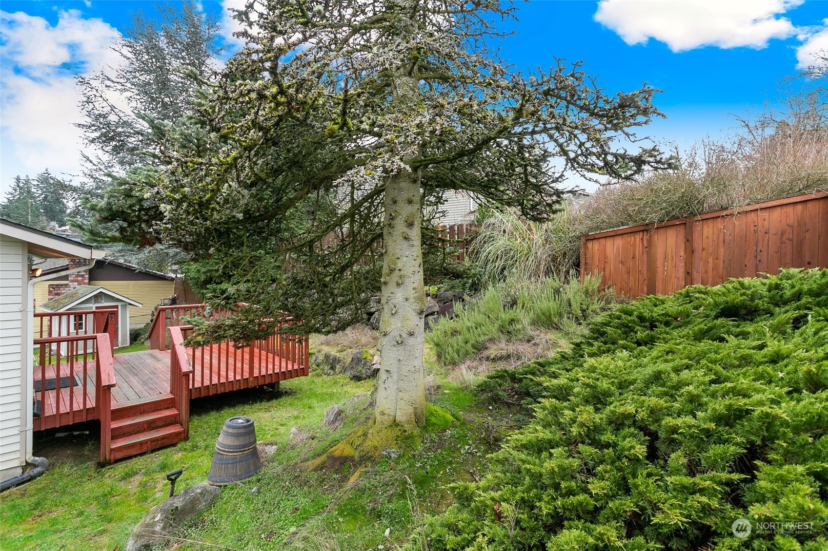 26007 36th Place South Kent, WA 98032 - Photo 33 of 37 a backyard of a house with lots of green space