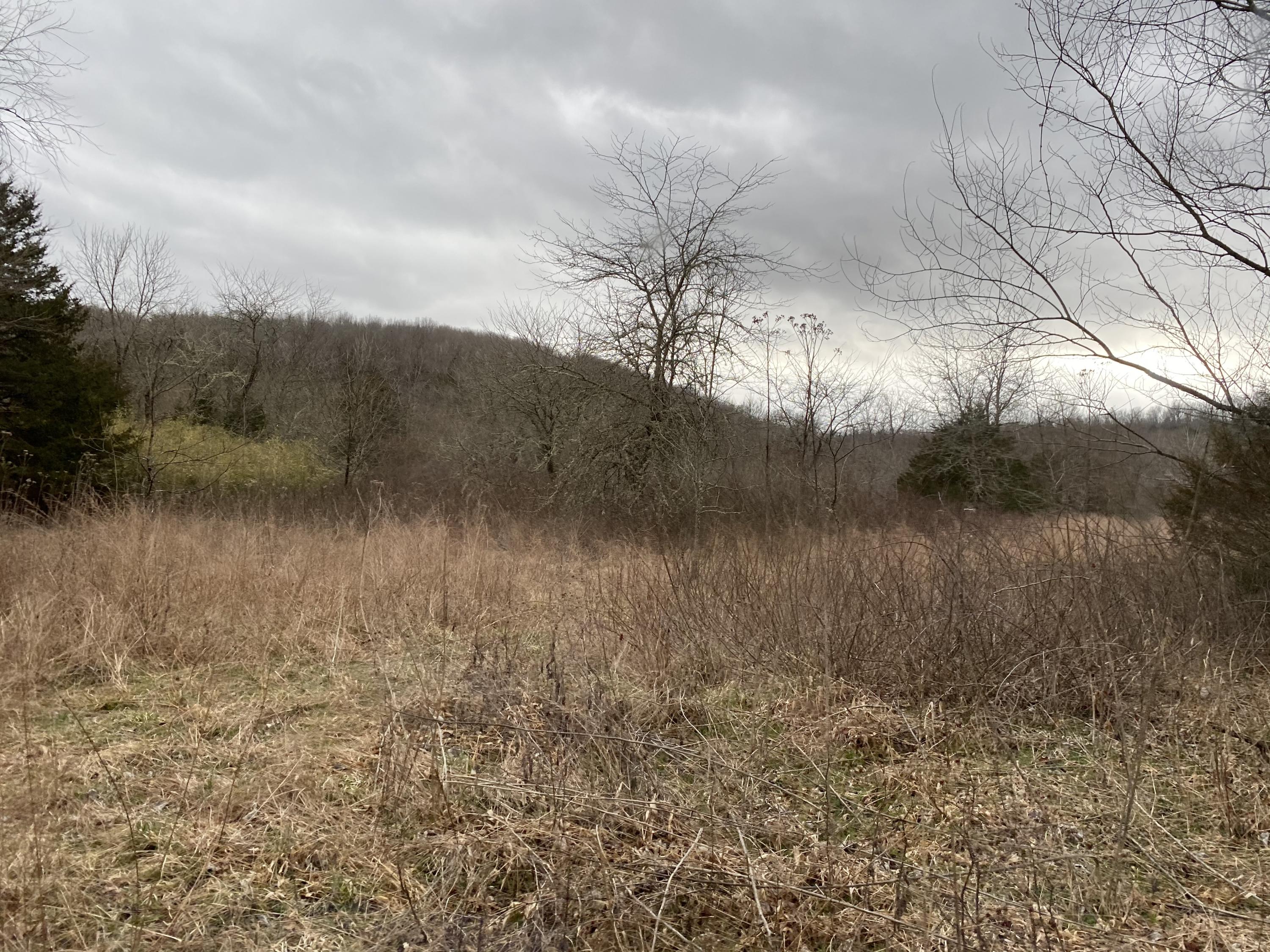 Tbd Tbd County Road Thornfield, MO 65762 - Photo 1 of 1 170 acres 3
