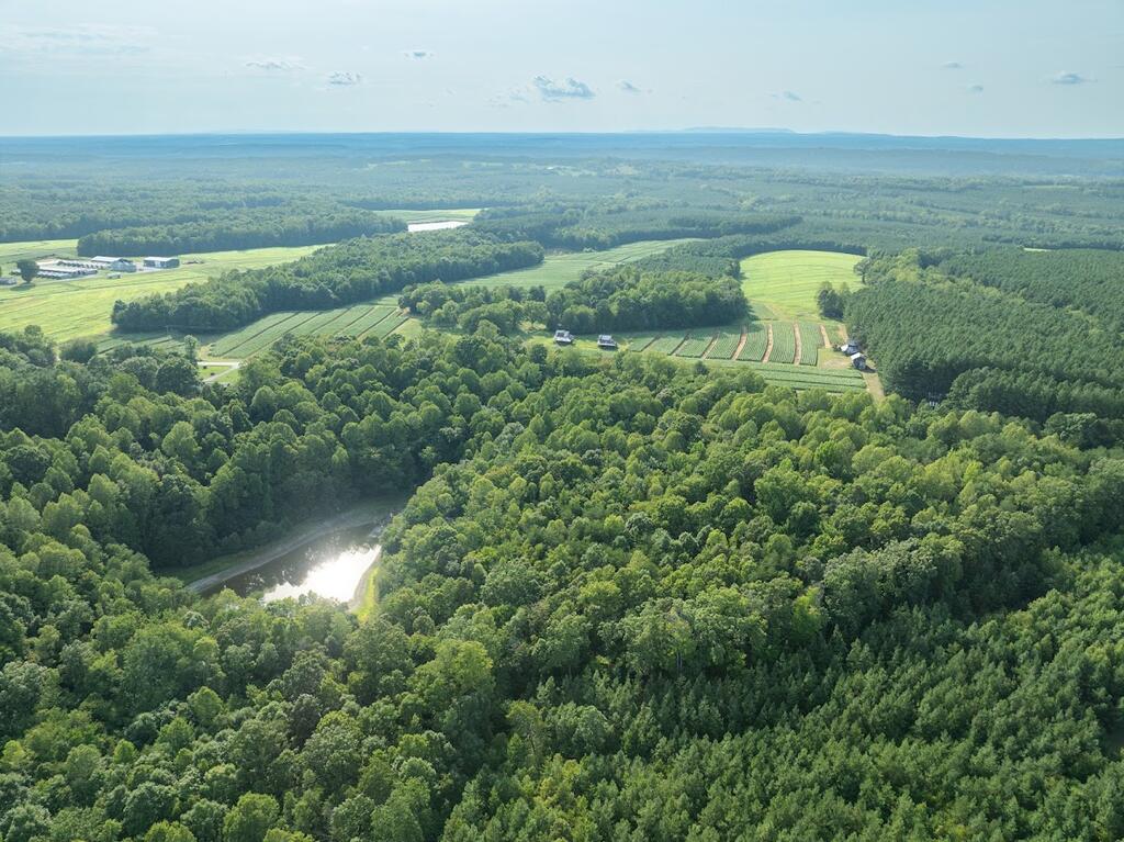 Riceville Road, Unit 2 Java, VA 24565 - Photo 12 of 24 Gallery Image 12