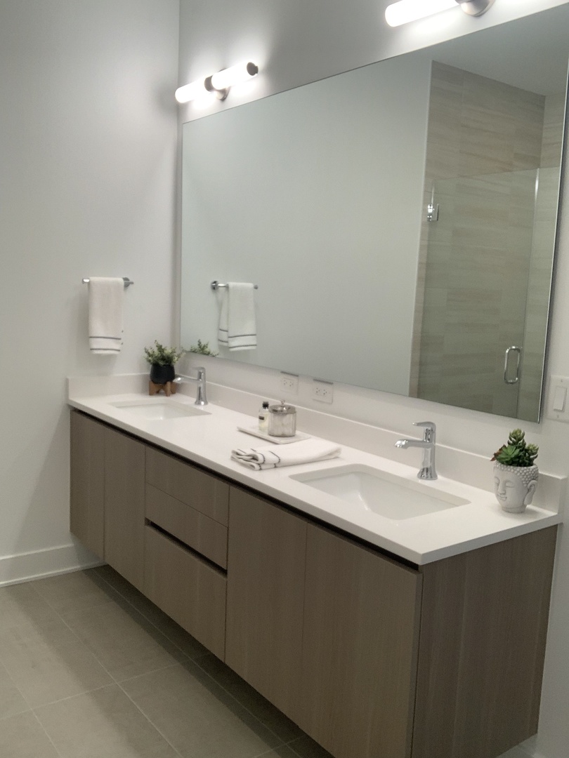 6 North Bishop Street, Unit 203 Chicago, IL 60607 - Photo 5 of 17 a bathroom with a sink vanity and a mirror
