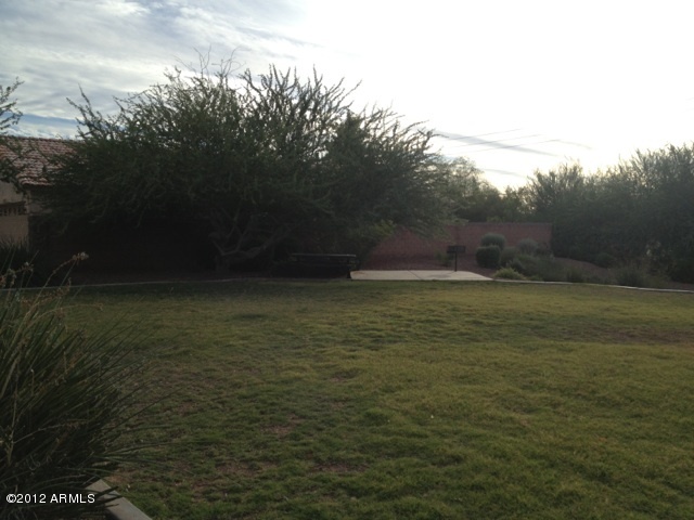 17435 North 16th Place Phoenix, AZ 85022 - Photo 41 of 42 green belt and picnic bbq area