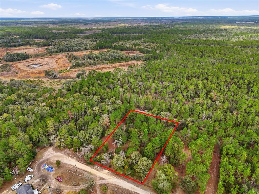 a view of a city with lush green forest