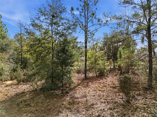 $34,900 | 0 Northeast 111th Street, Bronson, FL 32621