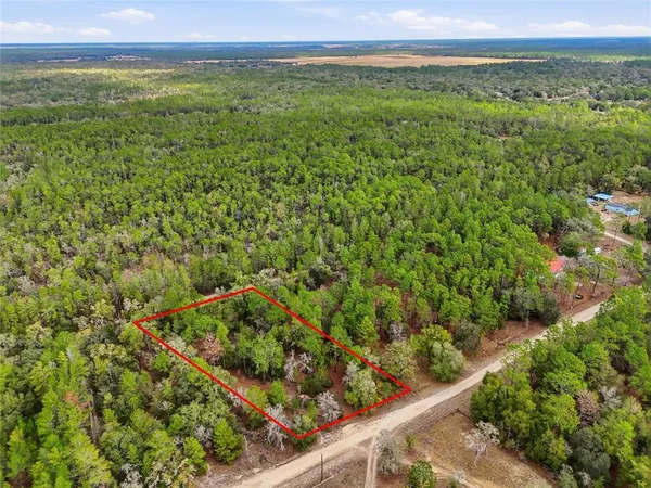 a view of a city with lush green forest