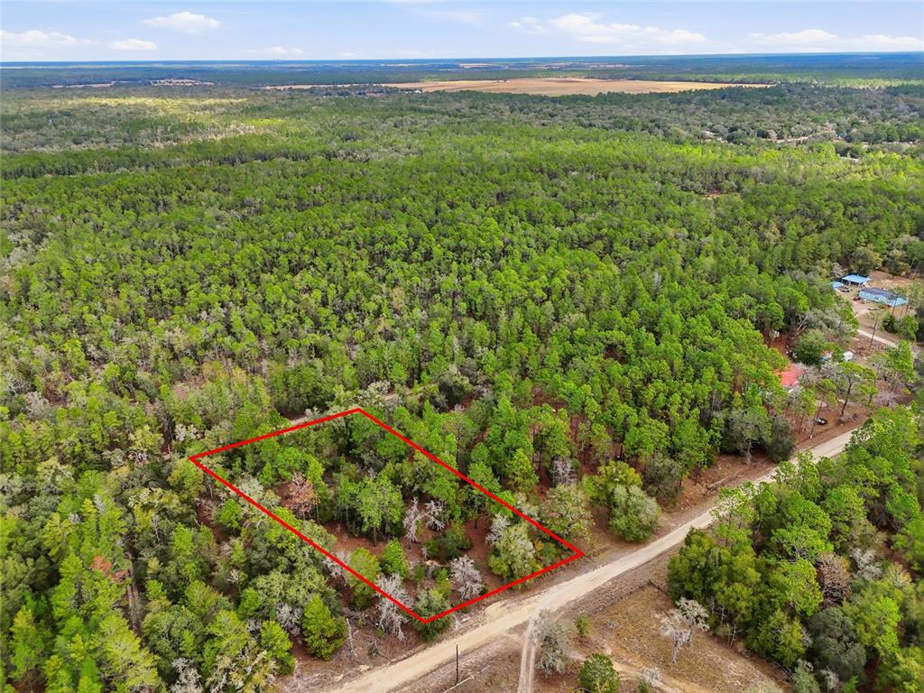 0 Northeast 111th Street Bronson, FL 32621 - Photo 2 of 13