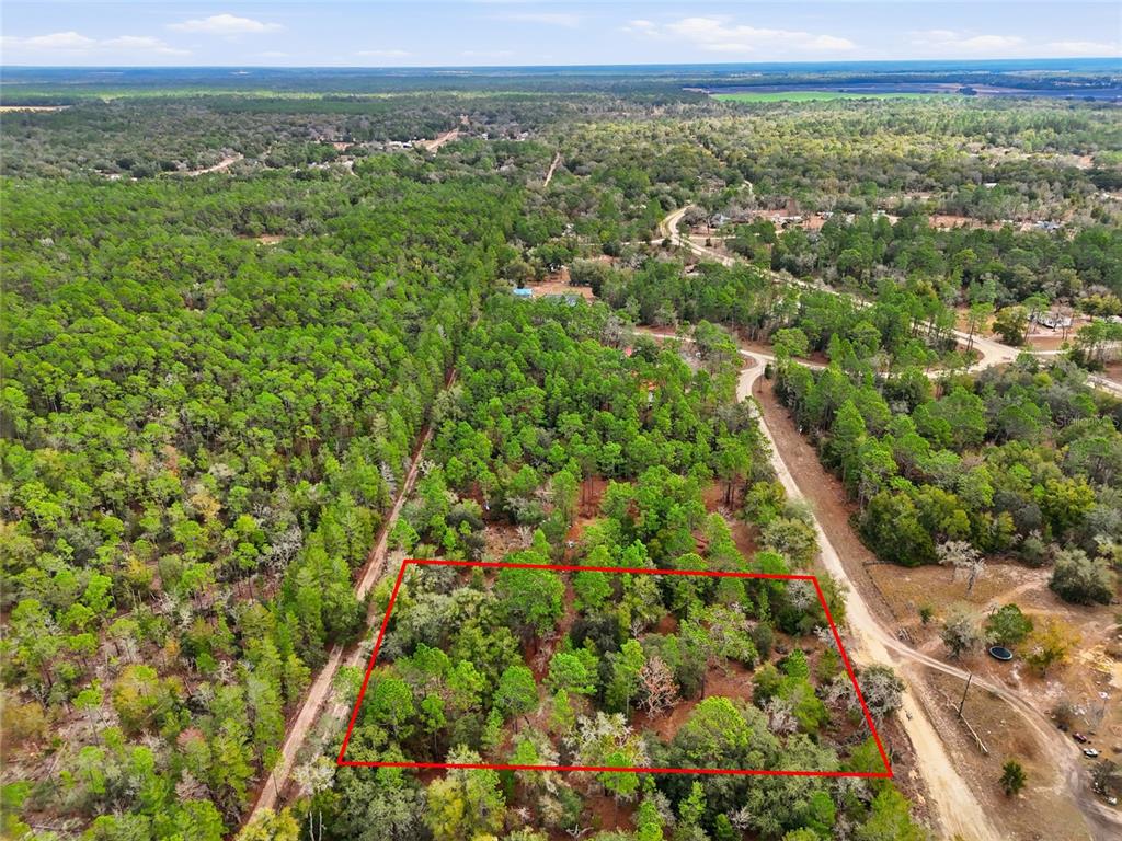 0 Northeast 111th Street Bronson, FL 32621 - Photo 3 of 13 a view of a city with lush green forest