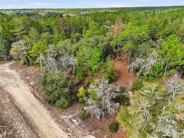 a view of a garden with a building