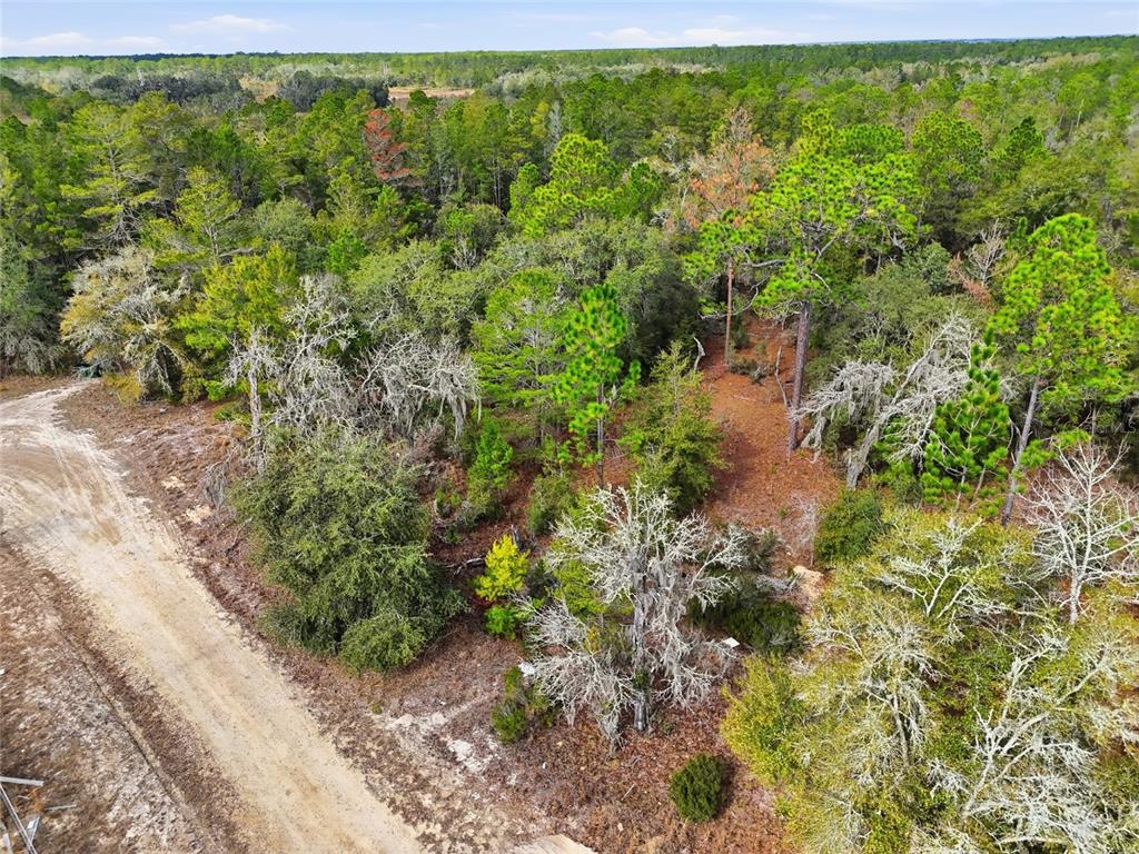 0 Northeast 111th Street Bronson, FL 32621 - Photo 7 of 13 a view of a garden