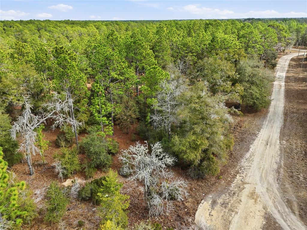 0 Northeast 111th Street Bronson, FL 32621 - Photo 8 of 13 a view of a garden with a building