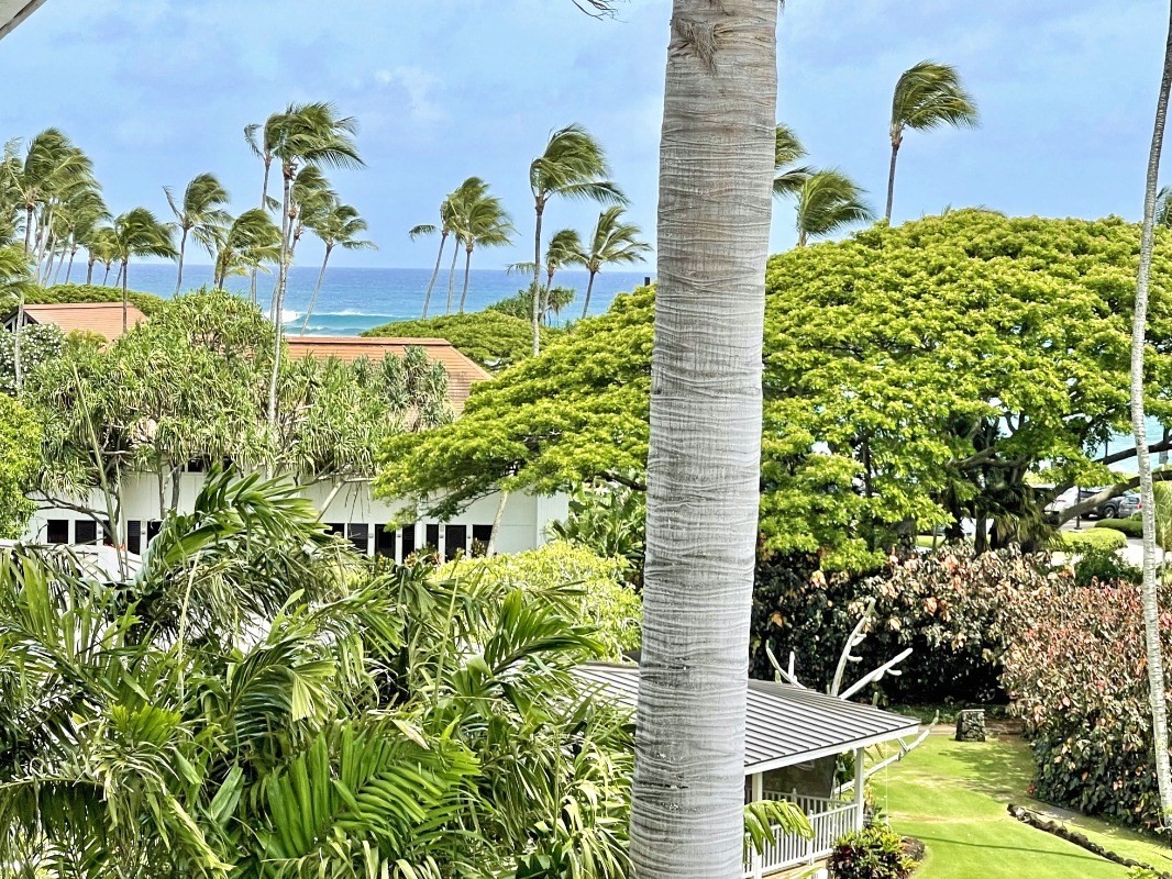 2253 Poipu Road, Unit 317 Koloa, HI 96756 - Photo 3 of 16