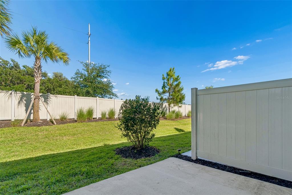2470 Paravane Way Wesley Chapel, FL 33543 - Photo 36 of 47