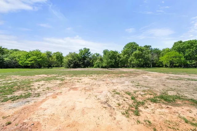 a view of a backyard with plants and large trees