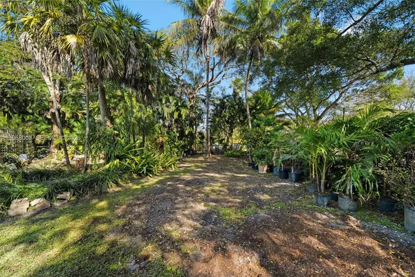 a view of outdoor space and trees