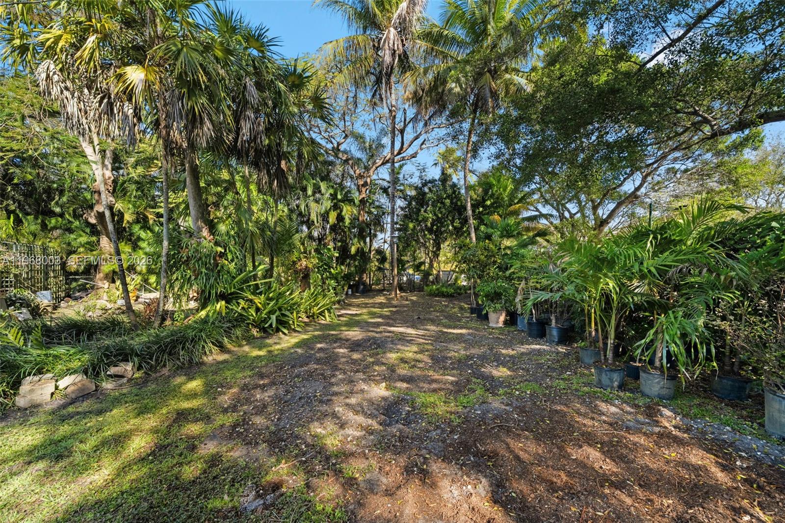 11220 Southwest 67th Avenue Pinecrest, FL 33156 - Photo 8 of 42 a view of outdoor space and trees