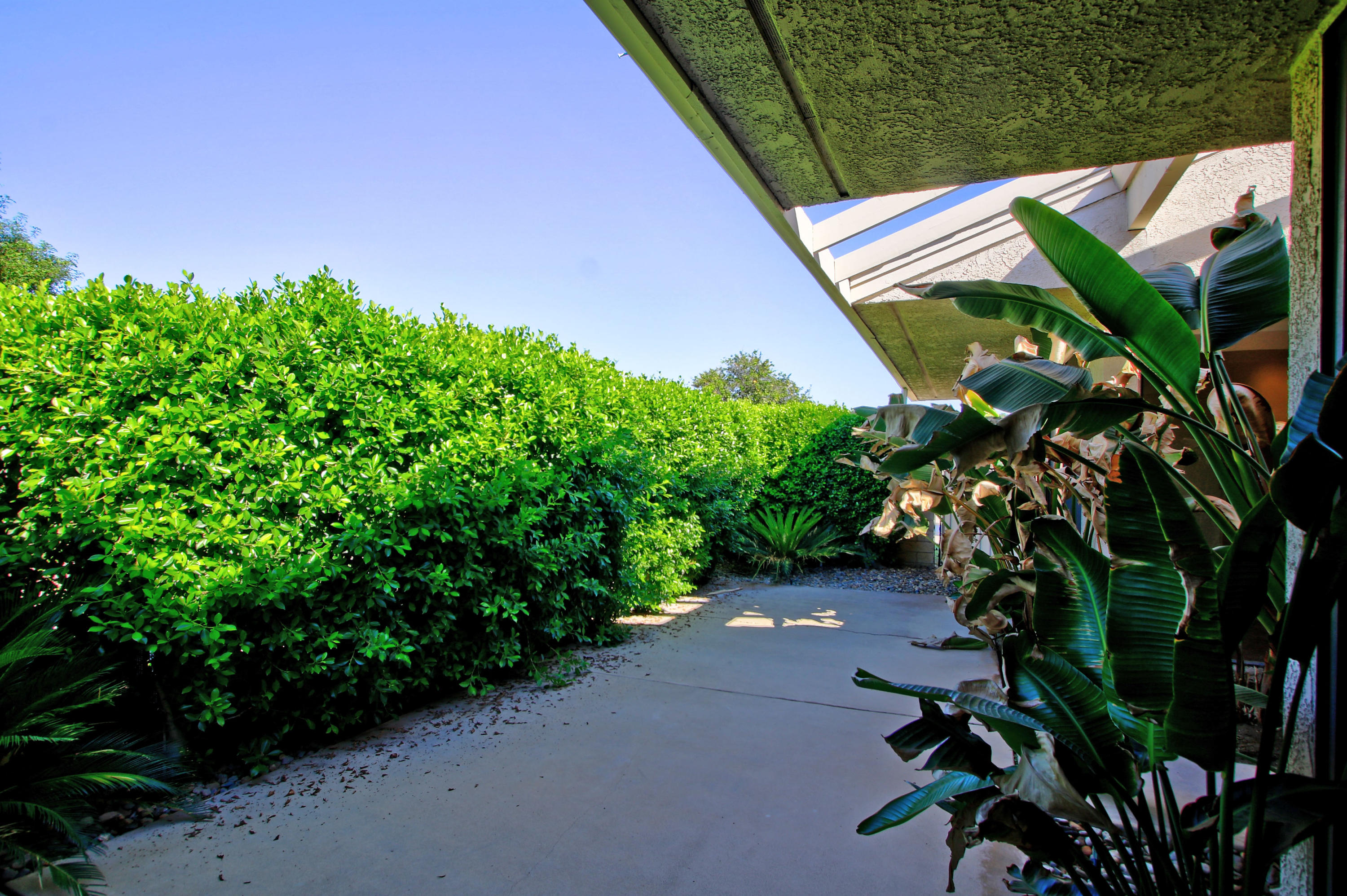 14 Colgate Drive Rancho Mirage, CA 92270 - Photo 39 of 46 a backyard of a house with lots of green space
