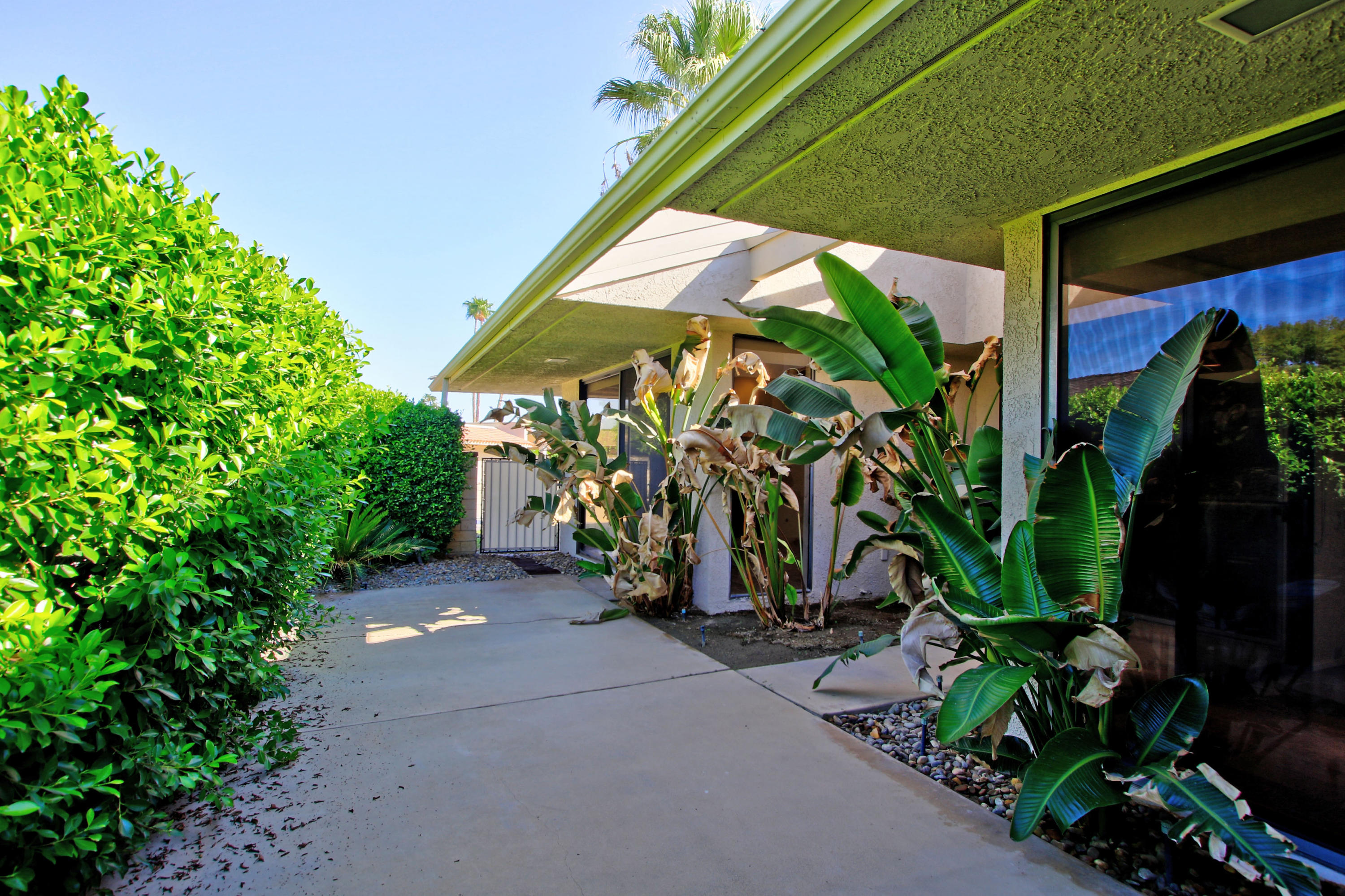 14 Colgate Drive Rancho Mirage, CA 92270 - Photo 40 of 46 a backyard of a house with lots of green space