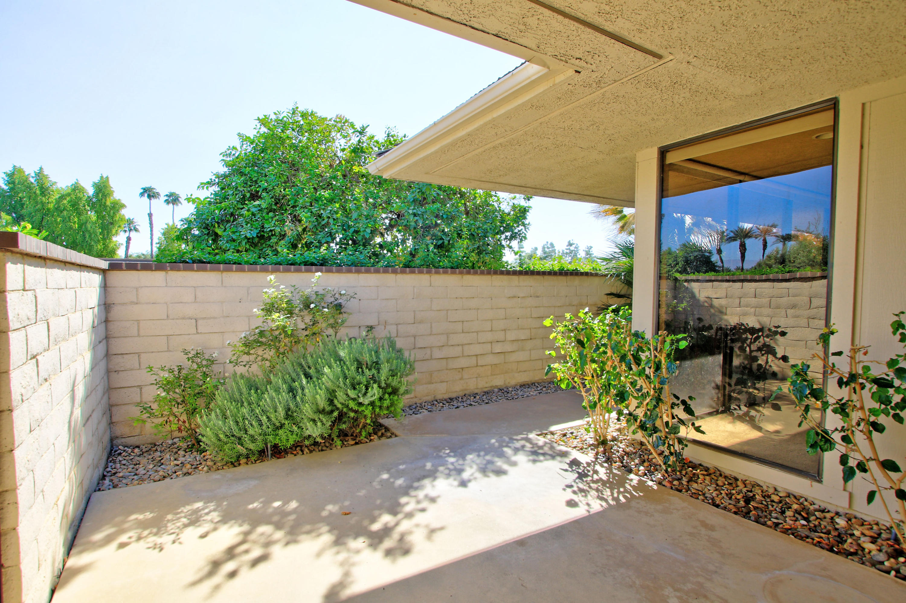 14 Colgate Drive Rancho Mirage, CA 92270 - Photo 42 of 46 a view of a bunch of plants