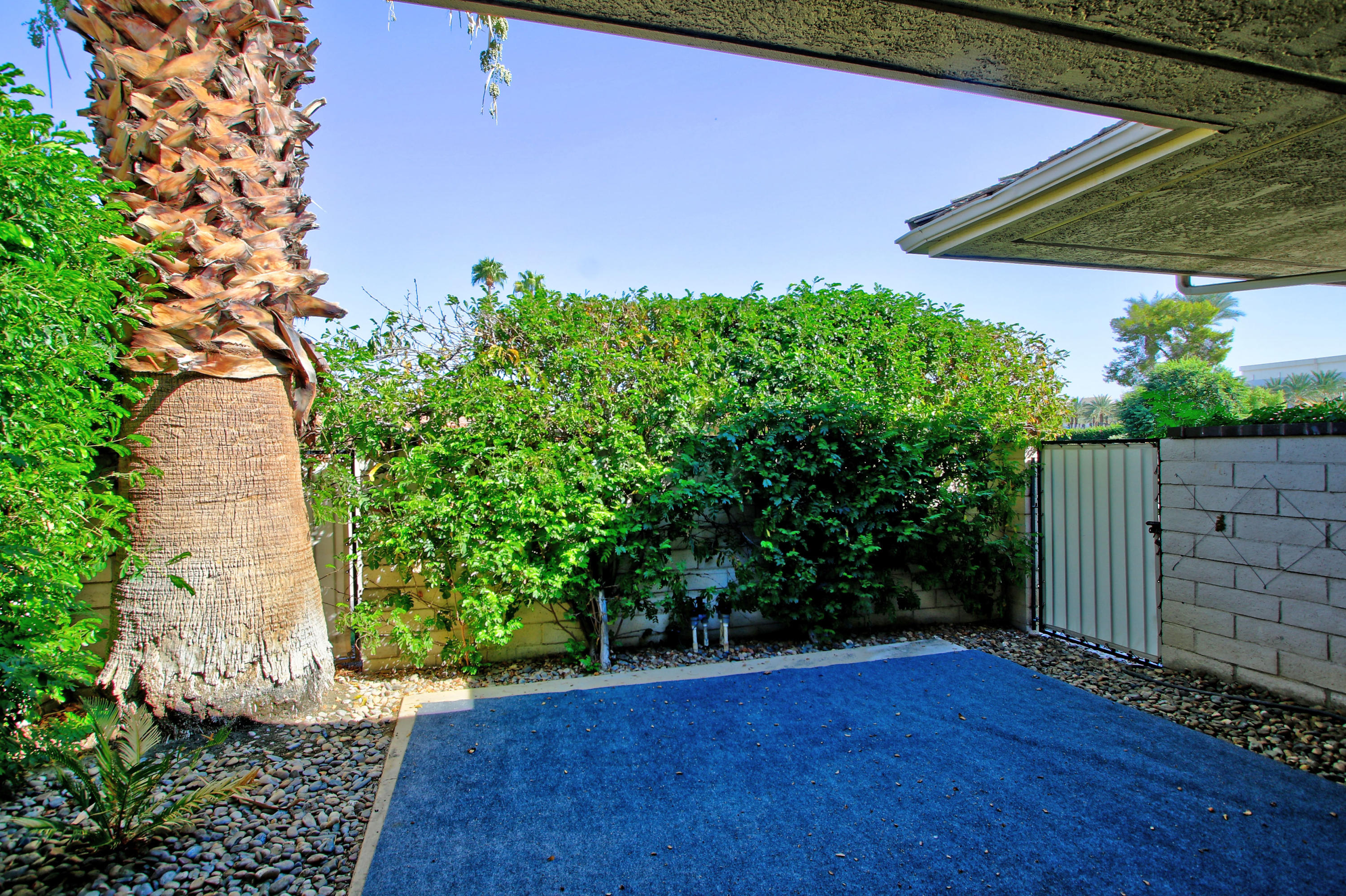 14 Colgate Drive Rancho Mirage, CA 92270 - Photo 43 of 46 a backyard of a house with lots of green space
