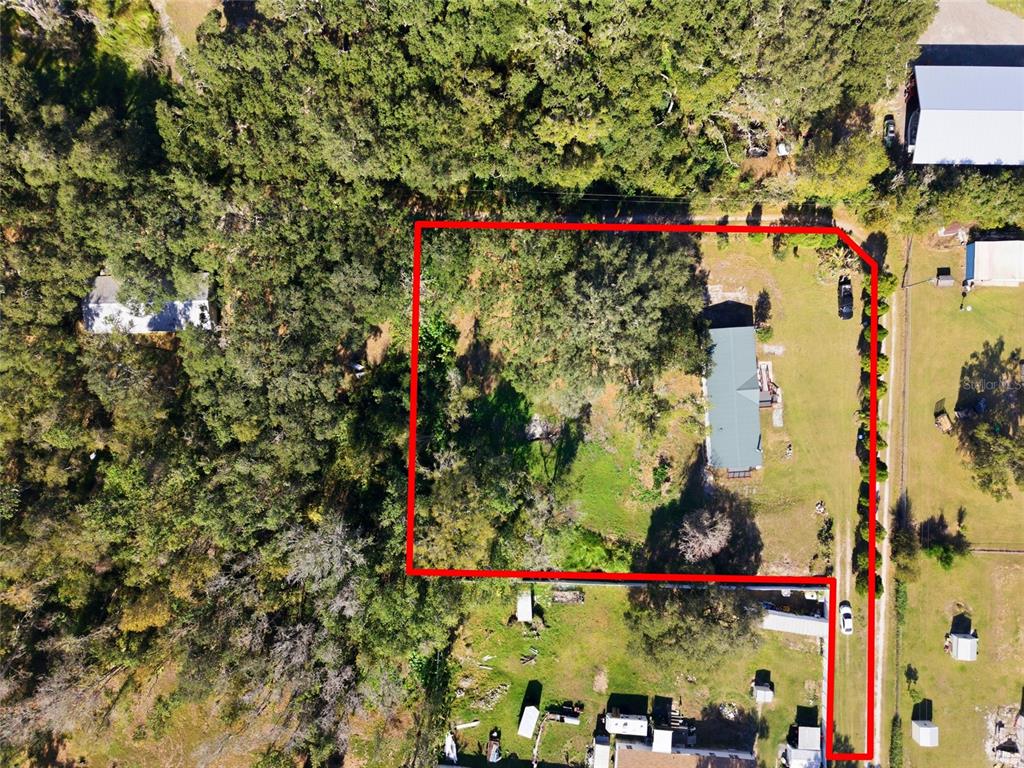 4912 Miley Road Plant City, FL 33565 - Photo 42 of 48