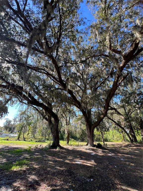 4912 Miley Road Plant City, FL 33565 - Photo 43 of 48 a view of outdoor space with yard