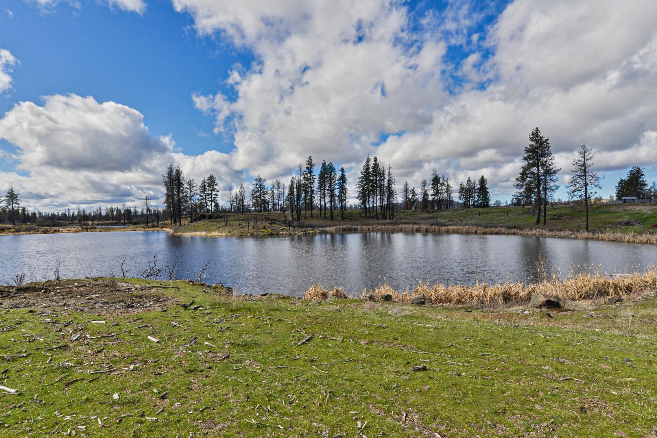 10004 South Medical Lake Road Medical Lake, WA 99022 - Photo 27 of 38