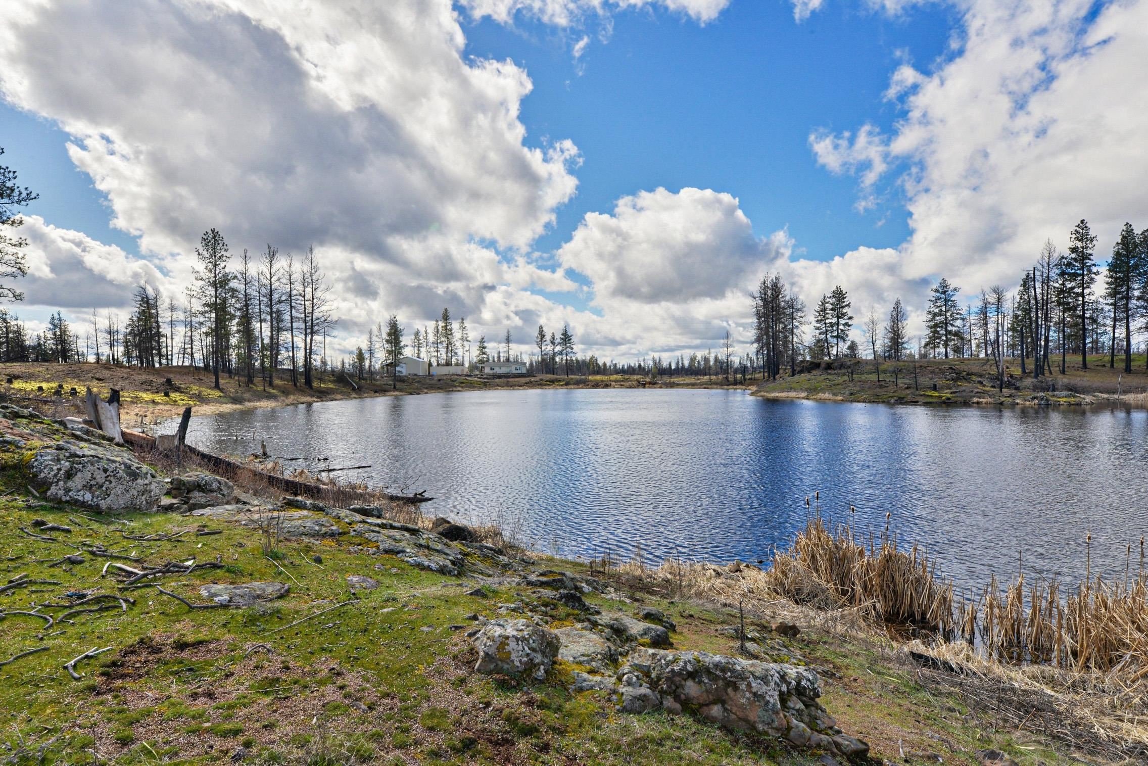 10004 South Medical Lake Road Medical Lake, WA 99022 - Photo 28 of 38