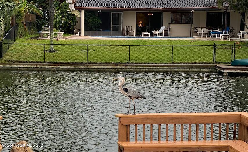 146 Bimini Road Cocoa Beach, FL 32931 - Photo 24 of 37 a living room with a couch and a fireplace