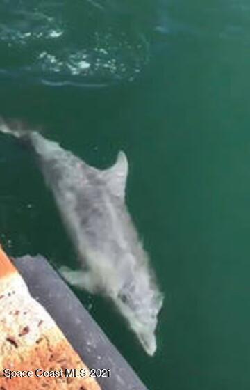 146 Bimini Road Cocoa Beach, FL 32931 - Photo 36 of 37 a view of a lake from a balcony