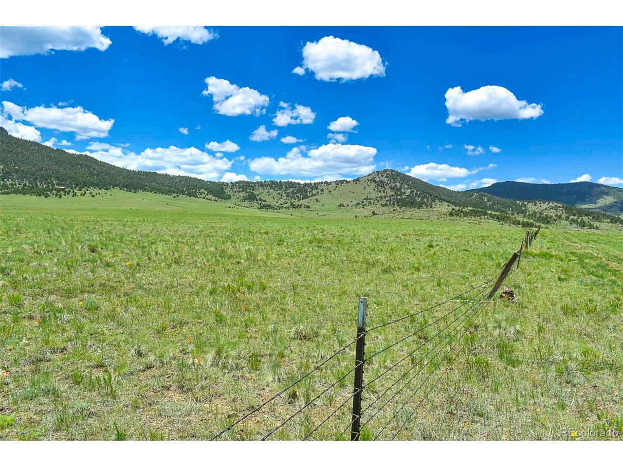 63 County Road Guffey, CO 80820 - Photo 12 of 35 Gallery Image 12