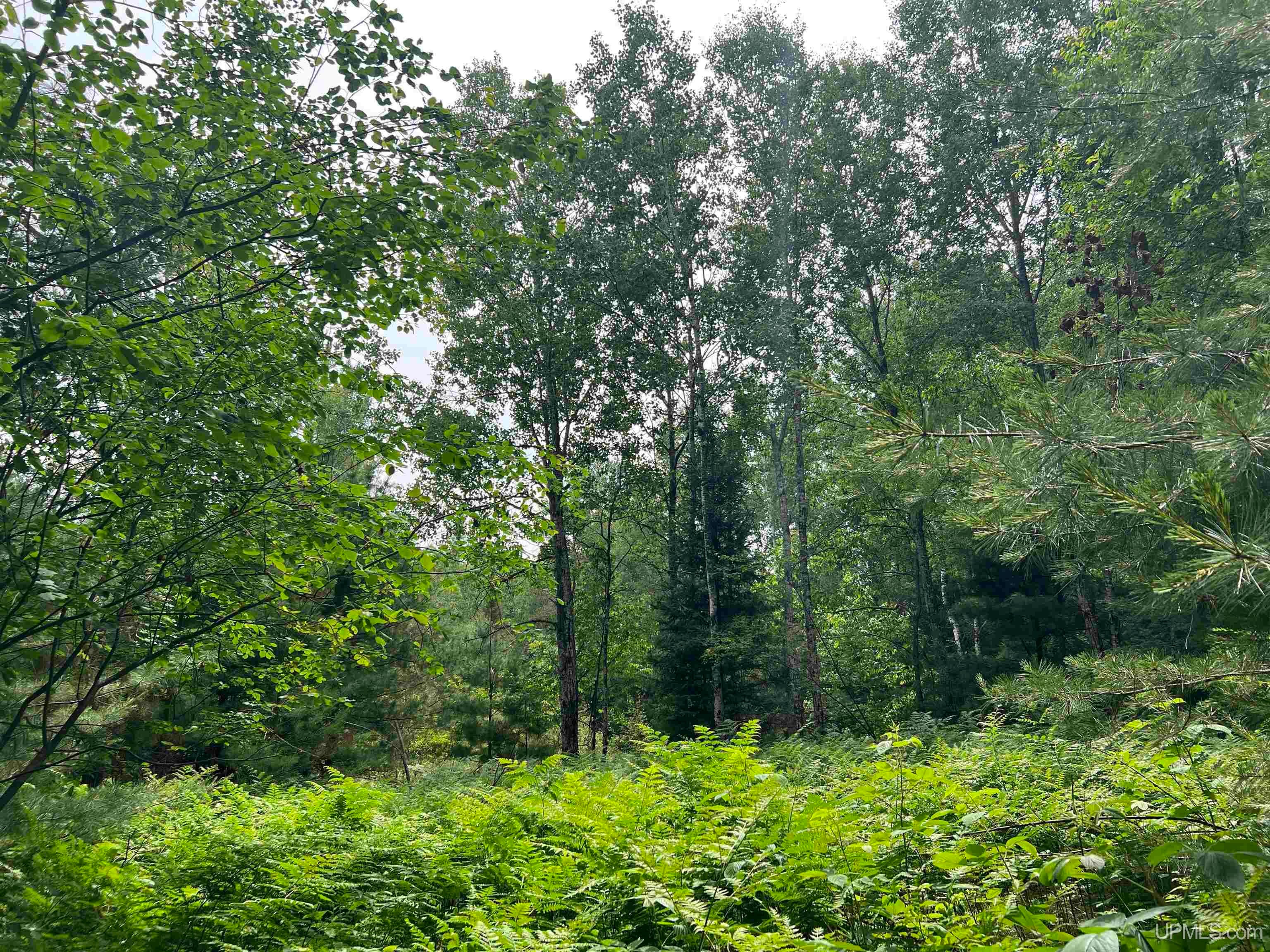 Tbd Leeman Road Felch, MI 49831 - Photo 26 of 84 Gallery Image 26