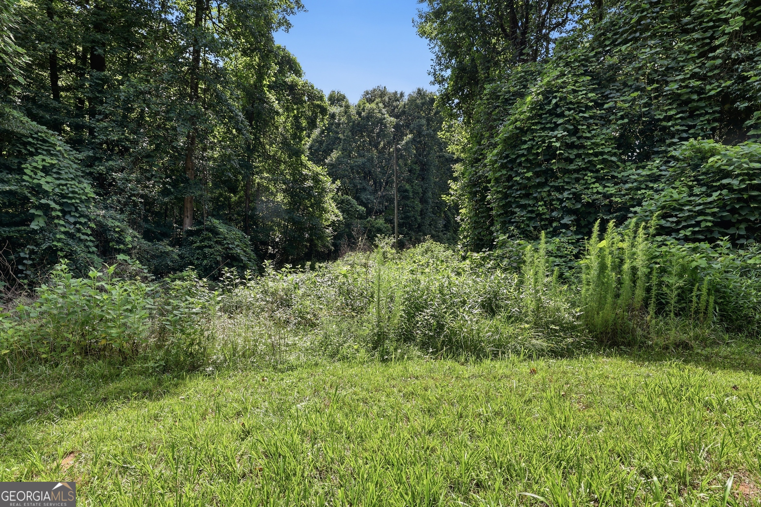 0 Lord Road Commerce, GA 30530 - Photo 10 of 22