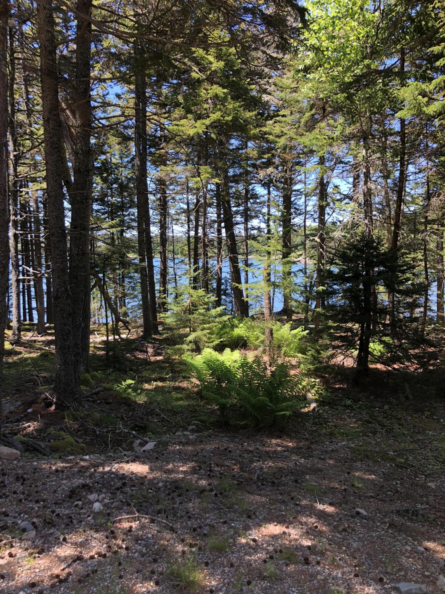 413 Minturn Road Swans Island, ME 04685 - Photo 3 of 26 21QSFY8FQC2OLUeHtjFVrA