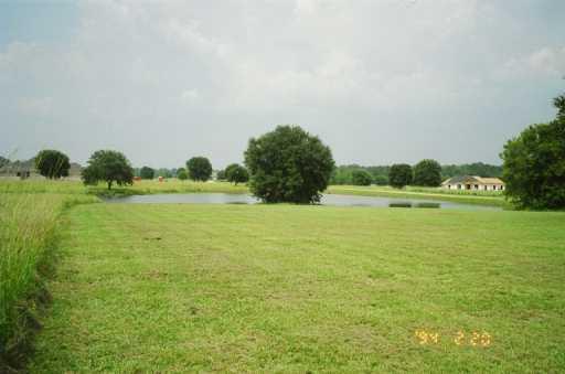 217 Turkey Ridge Road Bush, LA 70431 - Photo 3 of 8