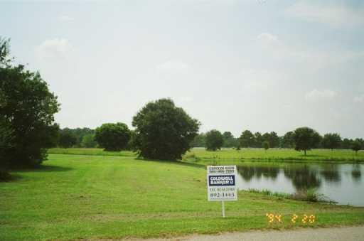 217 Turkey Ridge Road Bush, LA 70431 - Photo 5 of 8