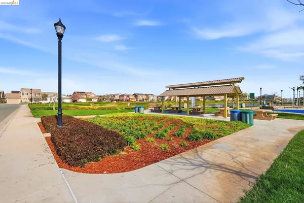 a view of a garden