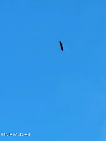 $340,000 | 246 Nydeck Road, Robbins, TN 37852