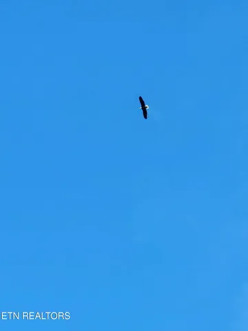 $355,000 | 246 Nydeck Road, Robbins, TN 37852