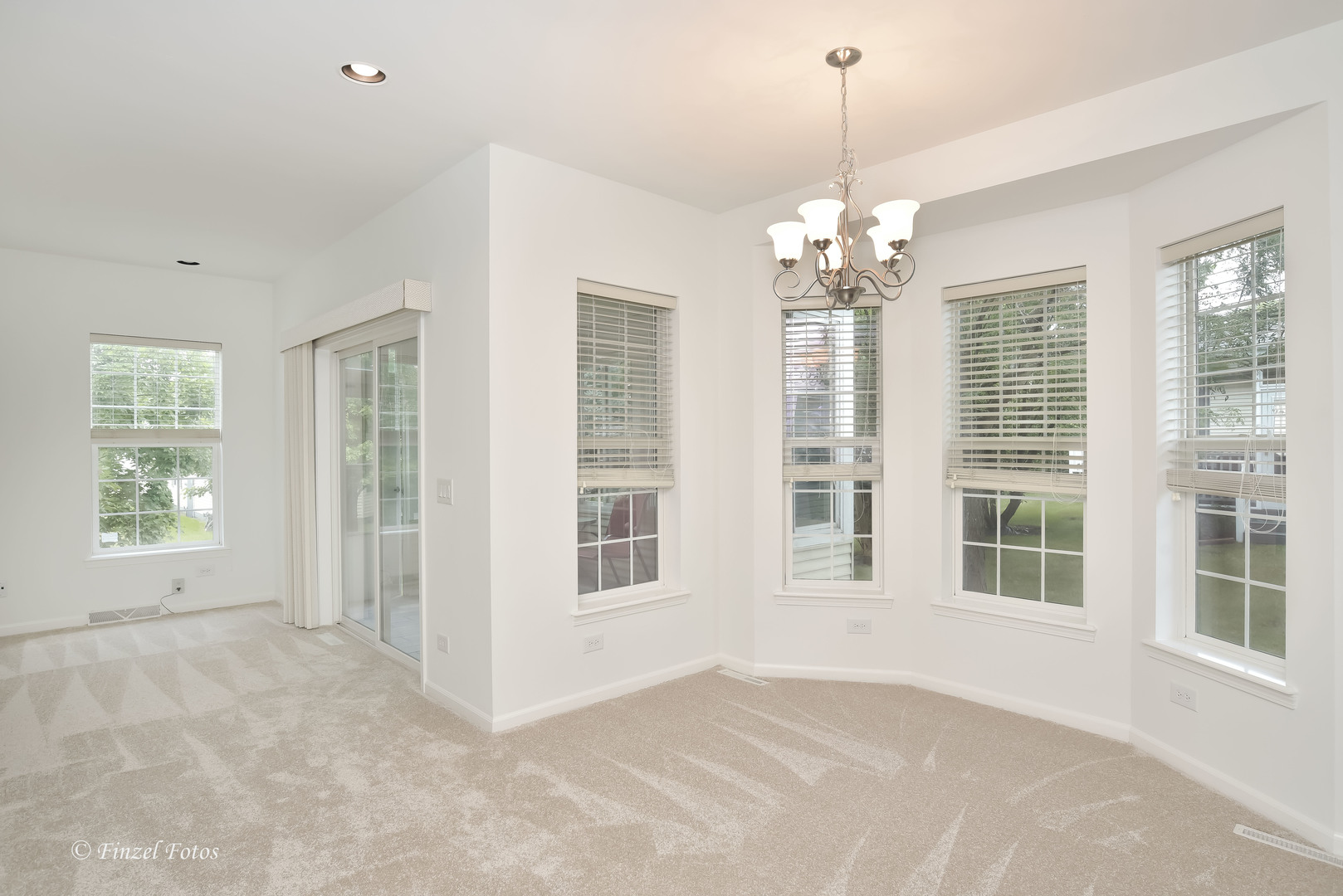 247 Rodeo Drive Grayslake, IL 60030 - Photo 4 of 16 Gallery Image 4