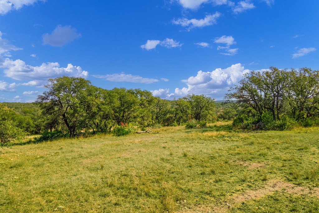 1365 North Walnut Springs Road, Unit 69 Johnson City, TX 78636 - Photo 12 of 41 a view of a yard with an tree