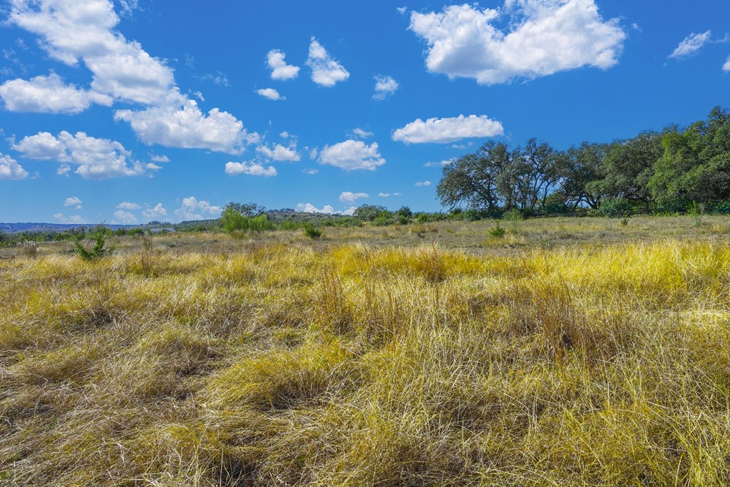 1365 North Walnut Springs Road, Unit 69 Johnson City, TX 78636 - Photo 13 of 41 a view of an ocean and a building