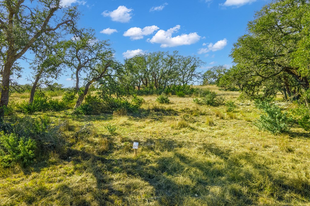 1365 North Walnut Springs Road, Unit 69 Johnson City, TX 78636 - Photo 14 of 41 a view of a bunch of trees