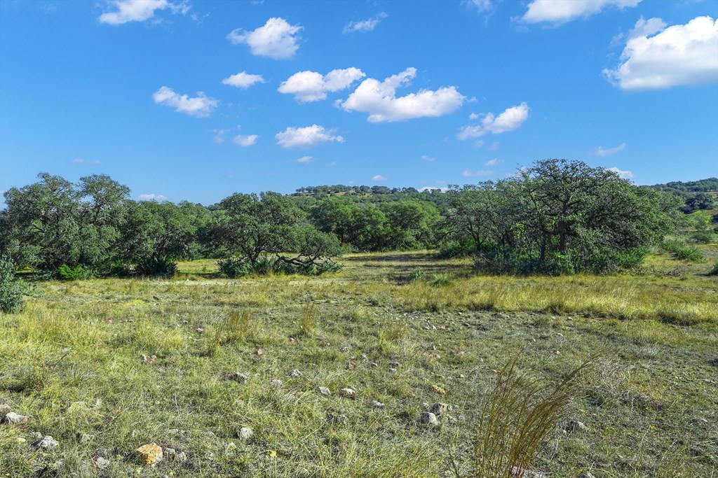 1365 North Walnut Springs Road, Unit 69 Johnson City, TX 78636 - Photo 15 of 41 a view of a green field with lots of bushes