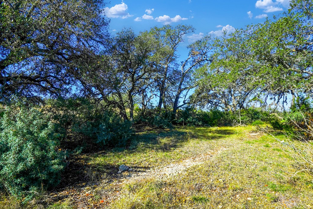 1365 North Walnut Springs Road, Unit 69 Johnson City, TX 78636 - Photo 17 of 41 a view of a yard in a yard