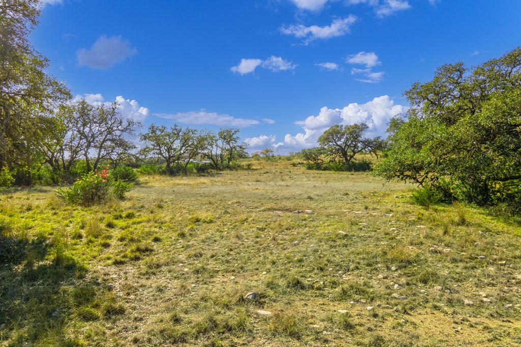 1365 North Walnut Springs Road, Unit 69 Johnson City, TX 78636 - Photo 18 of 41 a view of a yard with an tree