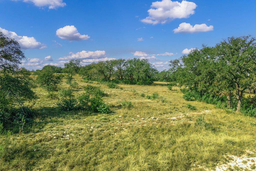 1365 North Walnut Springs Road, Unit 69 Johnson City, TX 78636 - Photo 2 of 41 a view of a green yard