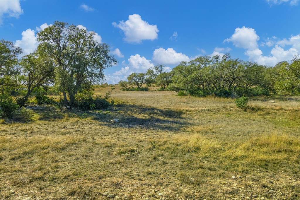1365 North Walnut Springs Road, Unit 69 Johnson City, TX 78636 - Photo 22 of 41 a view of a lake view