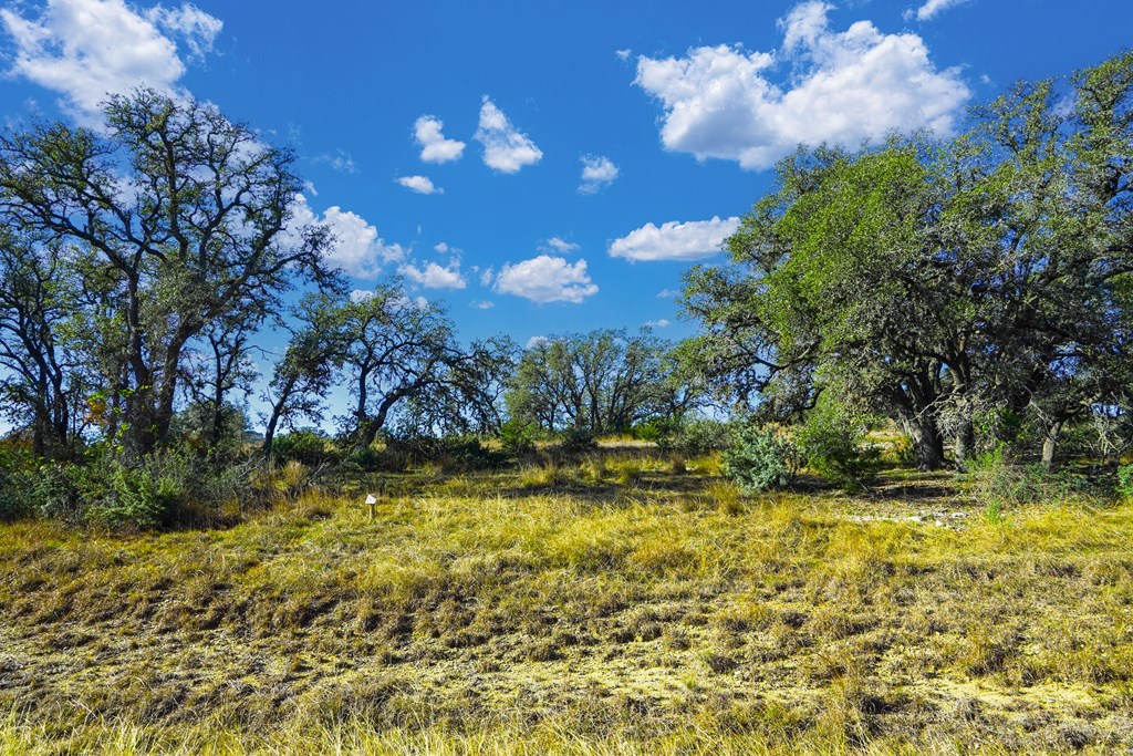 1365 North Walnut Springs Road, Unit 69 Johnson City, TX 78636 - Photo 23 of 41 a view of a yard with swimming pool