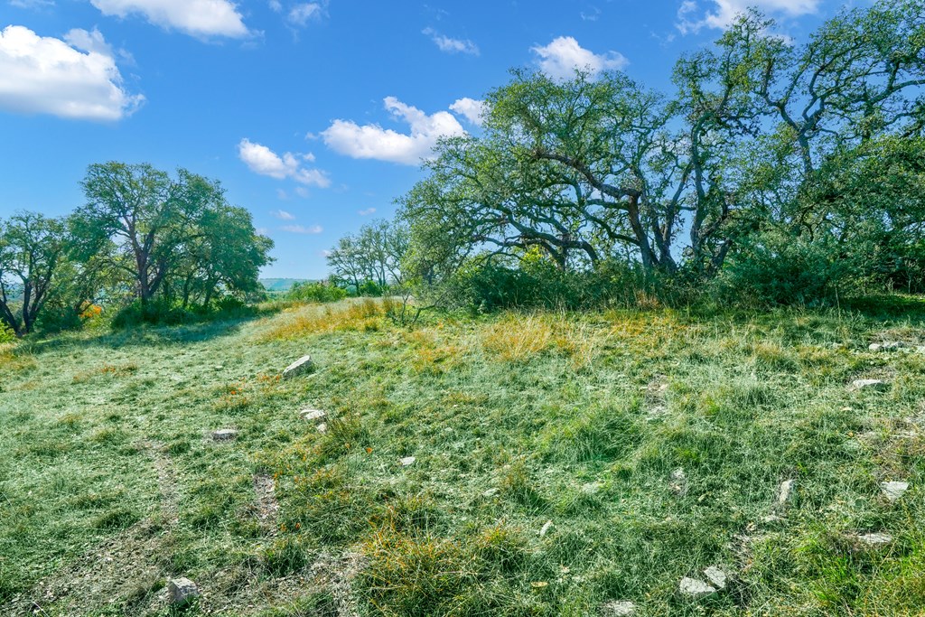 1365 North Walnut Springs Road, Unit 69 Johnson City, TX 78636 - Photo 25 of 41 a view of a green yard